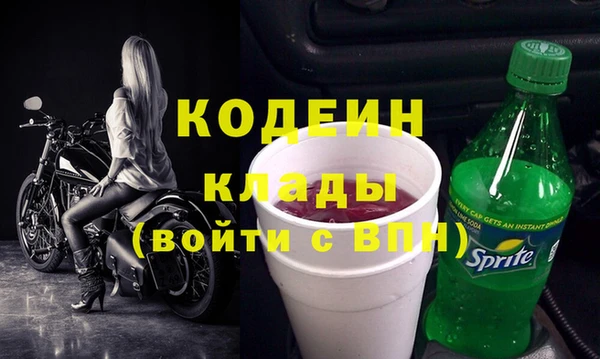 ПСИЛОЦИБИНОВЫЕ ГРИБЫ Арсеньев