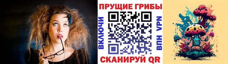 где можно купить Пущино мега ссылка Галлюциногенные грибы прущие грибы